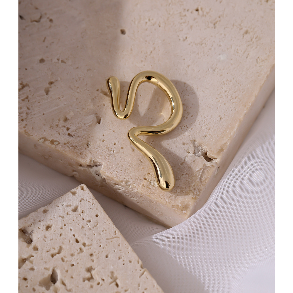 Wholesale Earrings
