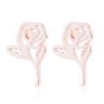 Whosesale earrings (2)