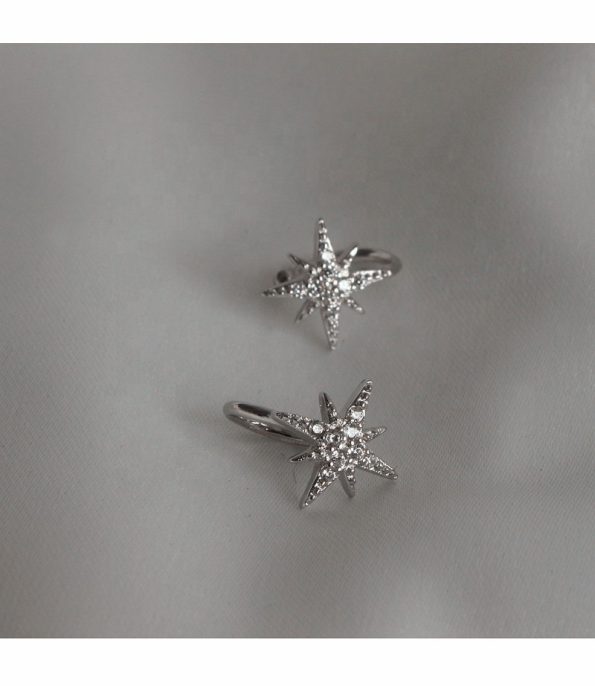 Whosesale earrings