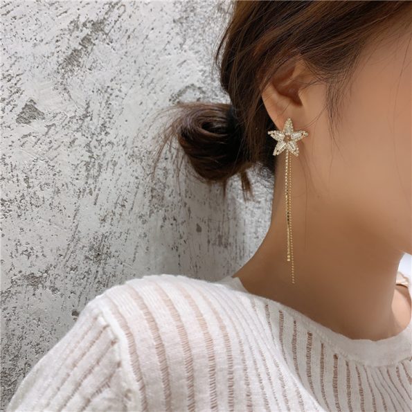 Drop Earrings (1)