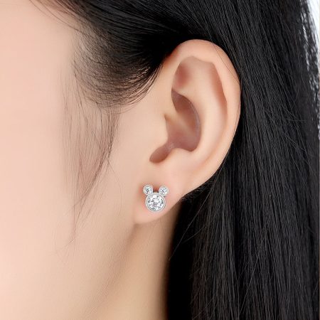 Fashion Earrings (1)