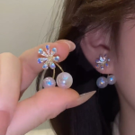 Fashion Earrings (1)